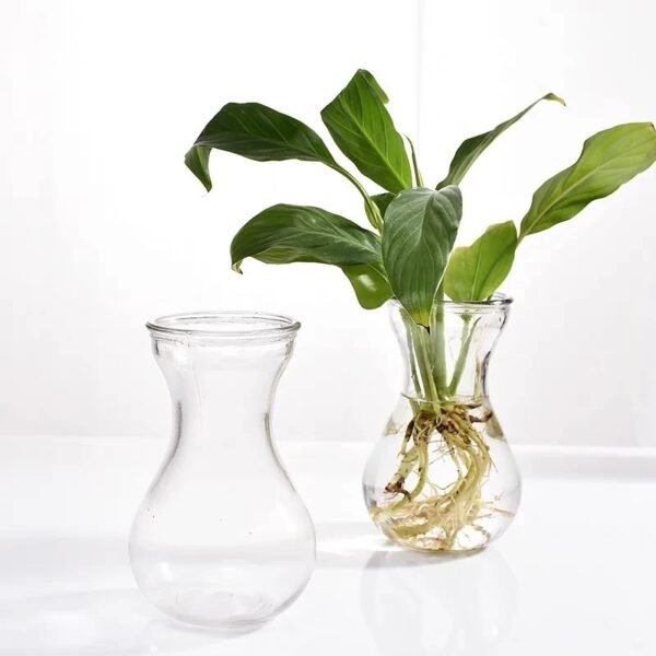 แจกันแก้ว Glass vase - Image 2