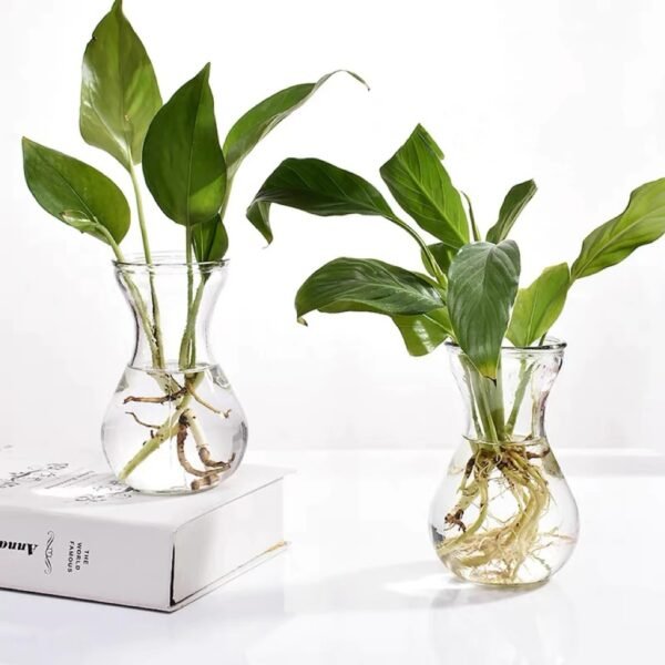 แจกันแก้ว Glass vase - Image 3